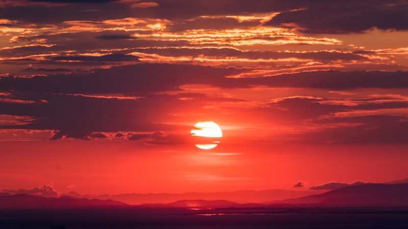 彩神vl云端观赛高清直播流画面