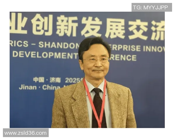 深度对话：杨芳在排球赛场上的奋斗与成长之路